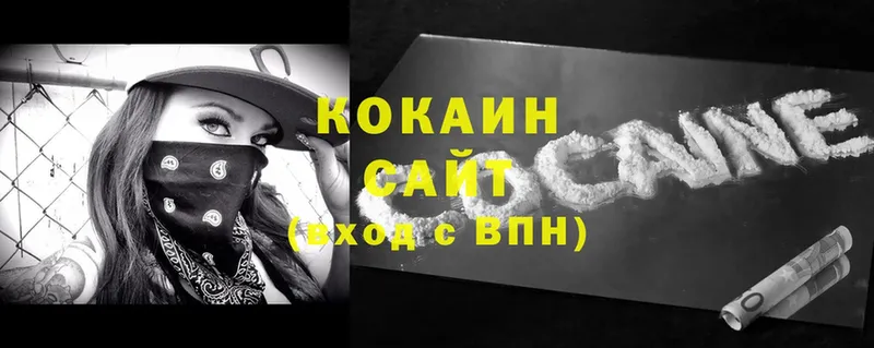 Cocaine FishScale  нарко площадка официальный сайт  Тюкалинск  mega маркетплейс 