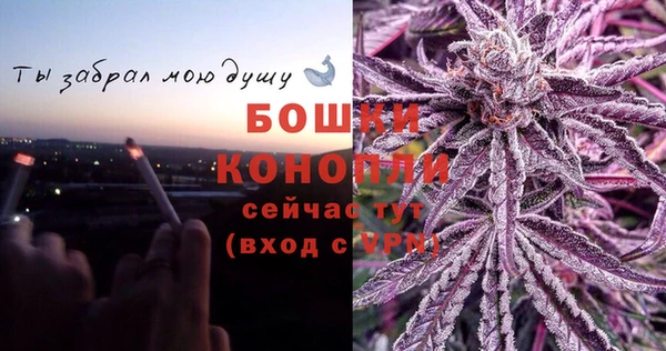 стаф Магадан