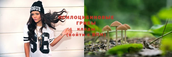 МДПВ Магас