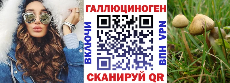 darknet состав  Тюкалинск  Псилоцибиновые грибы Magic Shrooms 